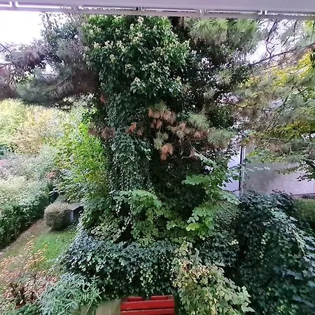 City-jungle Artcommodation Apartman München