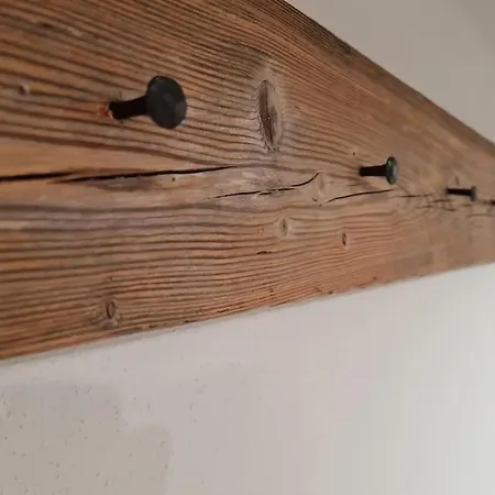 City-jungle Artcommodation Apartman