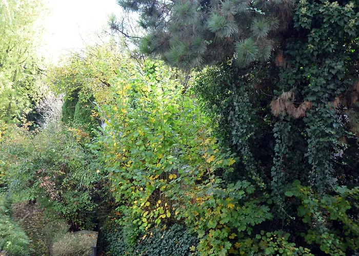 City-jungle Artcommodation Appartamento