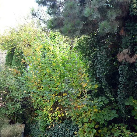 City-jungle Artcommodation Apartment